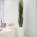 Large Dax Vase with Rush Grass