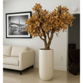 Beige Magnolia Tree in Pot St. Tr. Bright White Release